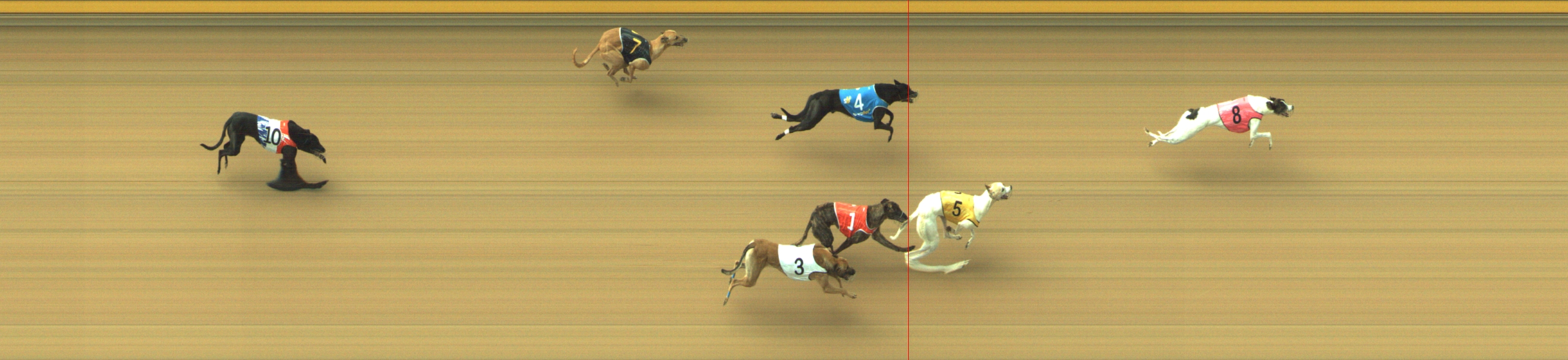 Photo finish for Geelong Race 4