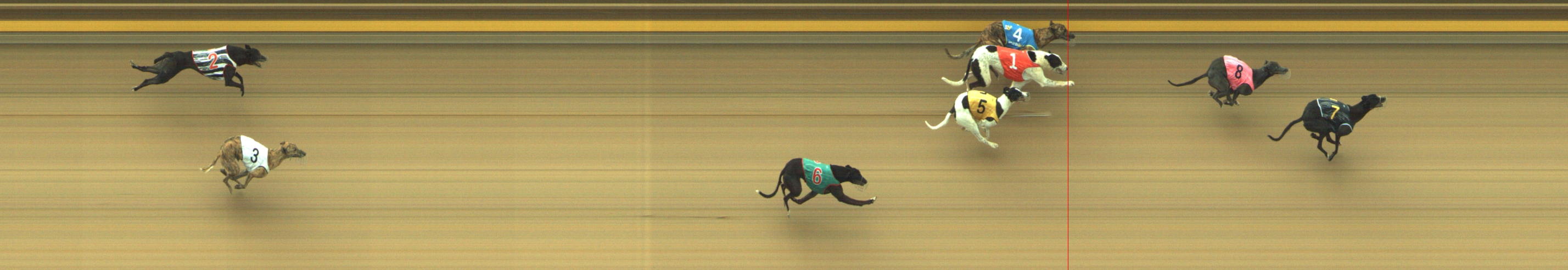 Photo finish for Geelong Race 5