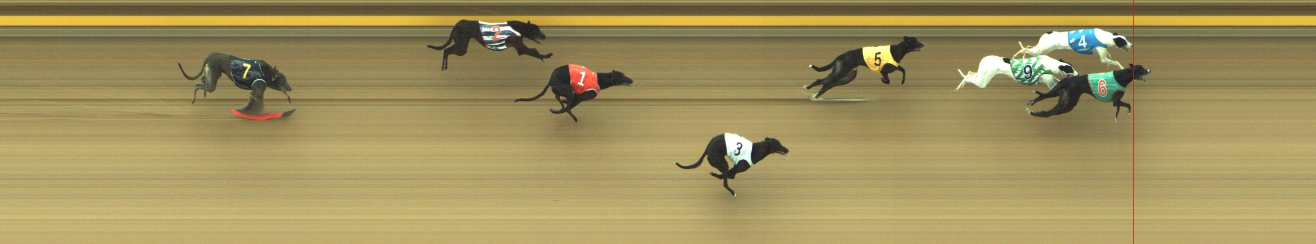 Photo finish for Geelong Race 6