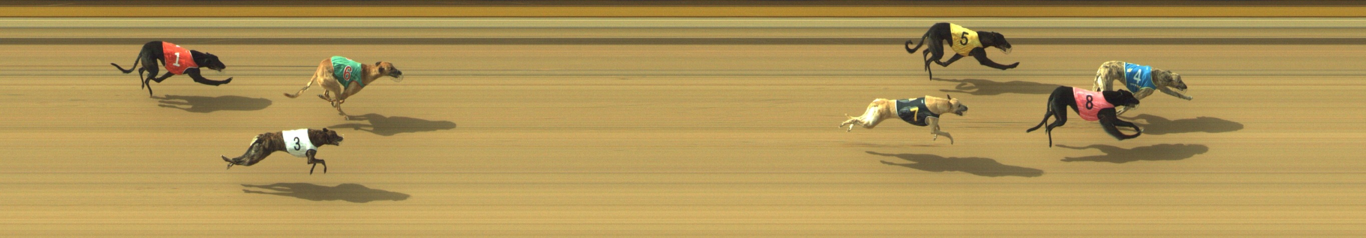 Photo finish for Geelong Race 7