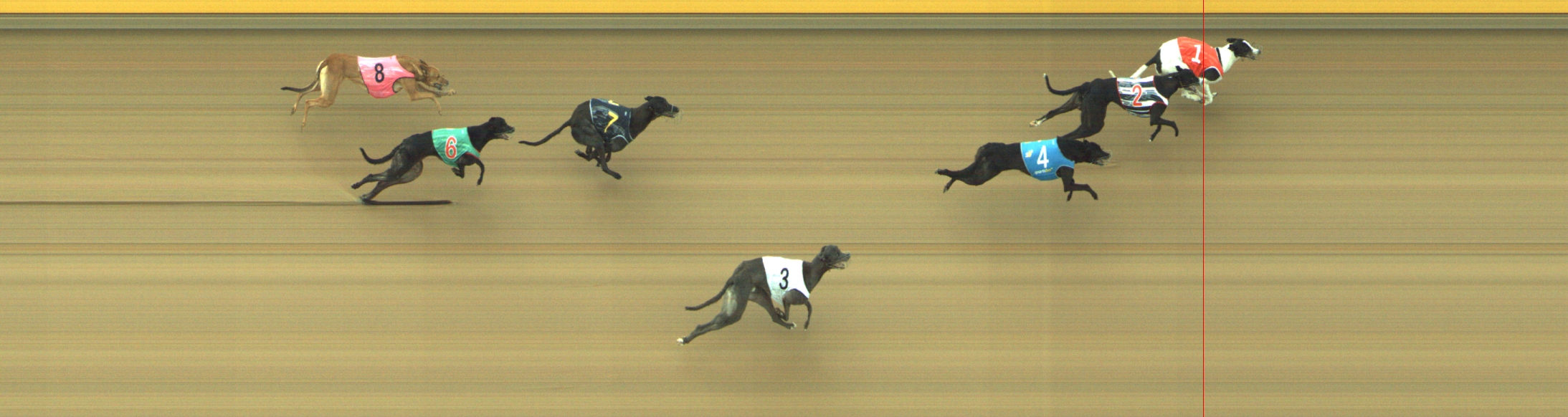 Photo finish for Geelong Race 8