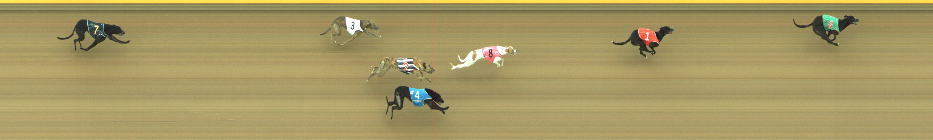 Photo finish for Geelong Race 9