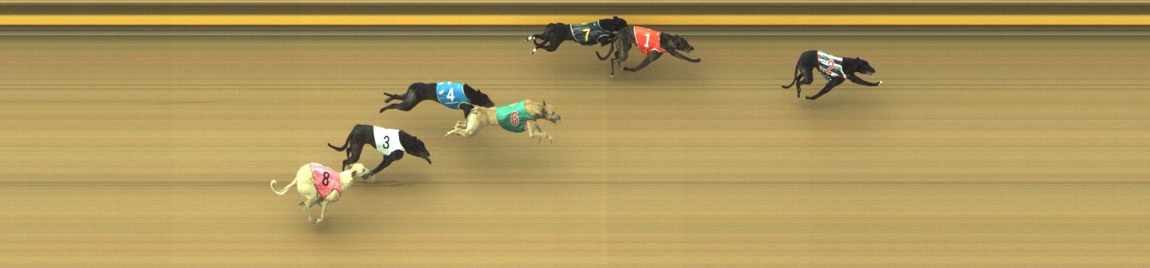 Photo finish for Geelong Race 10