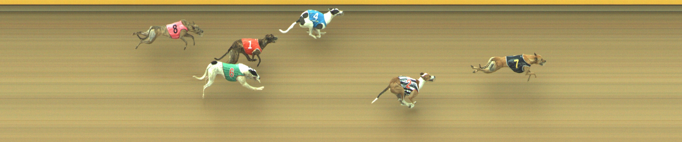 Photo finish for Geelong Race 11