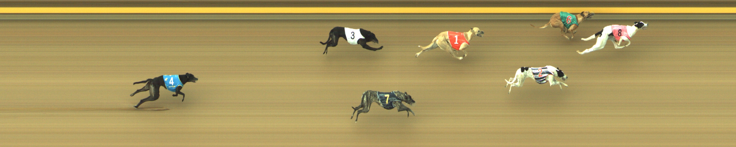 Photo finish for Geelong Race 12