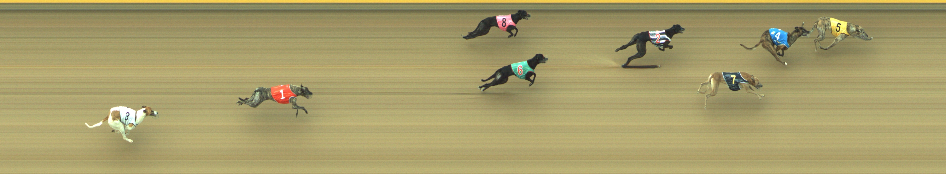 Photo finish for Geelong Race 13