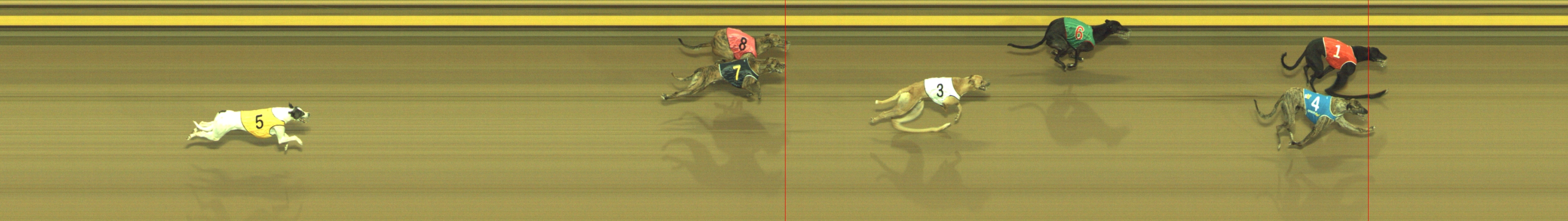 Photo finish for Geelong Race 1
