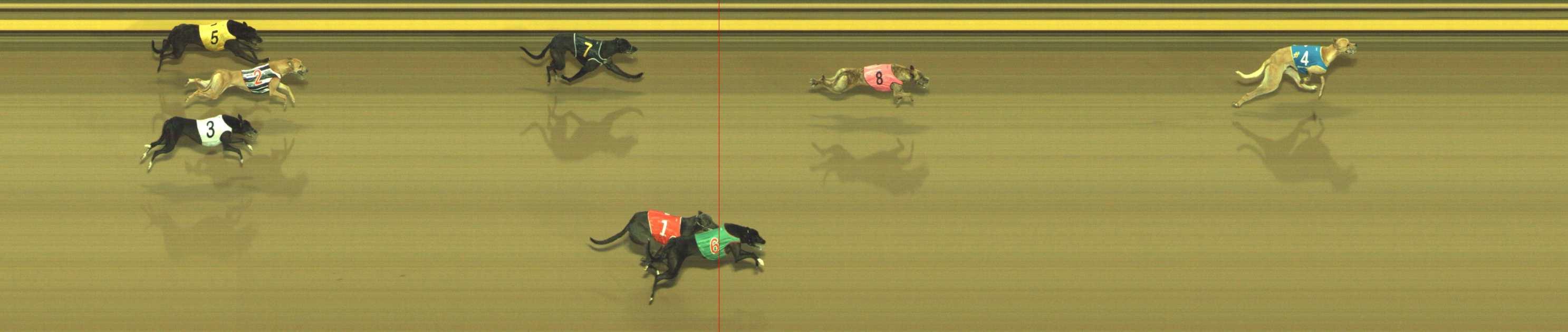 Photo finish for Geelong Race 2