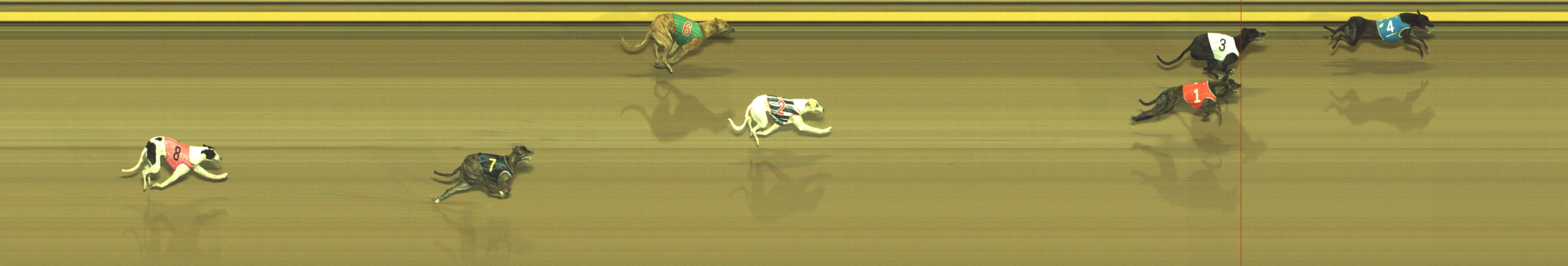 Photo finish for Geelong Race 3