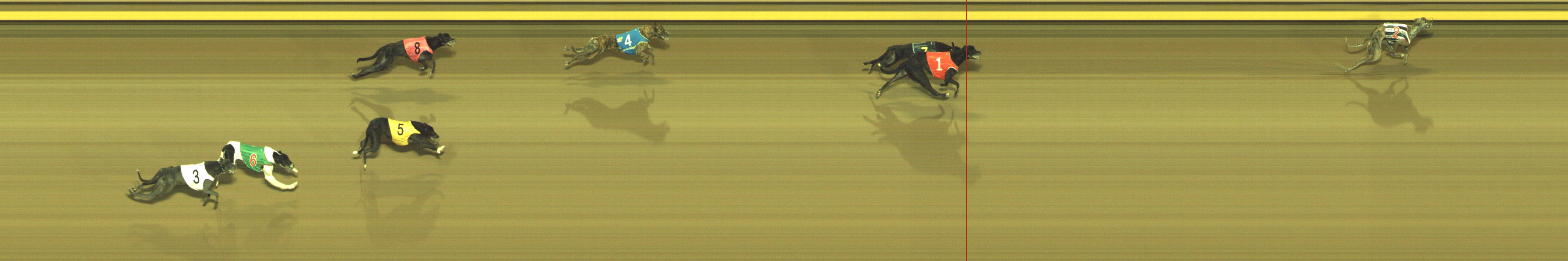 Photo finish for Geelong Race 4