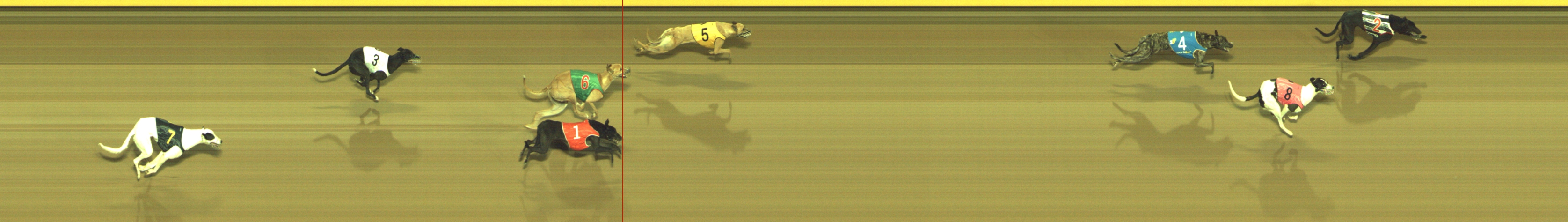 Photo finish for Geelong Race 5
