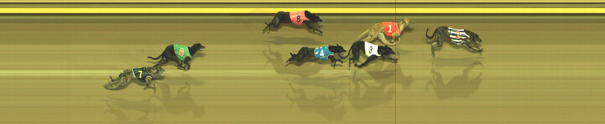 Photo finish for Geelong Race 6