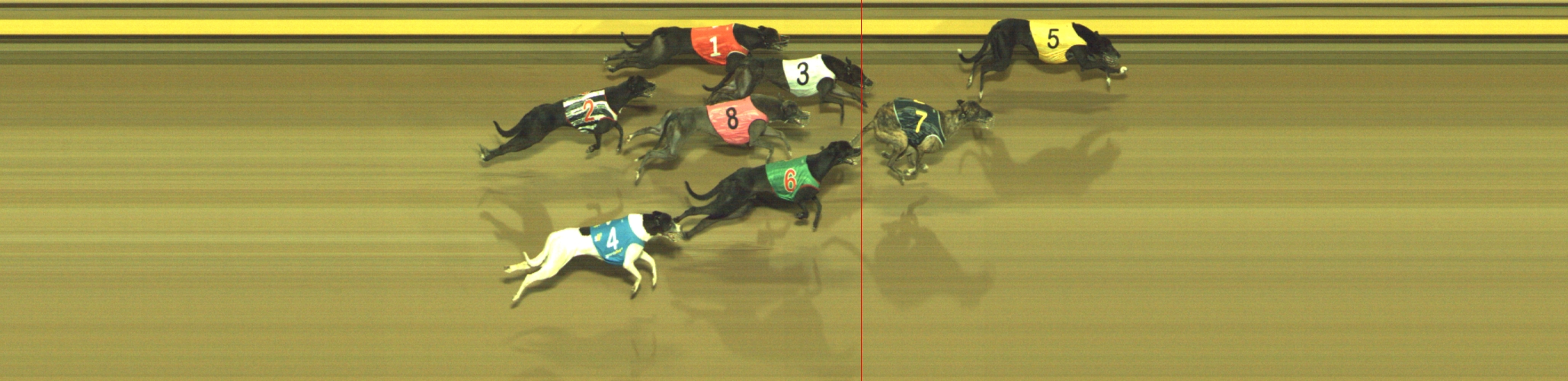 Photo finish for Geelong Race 7
