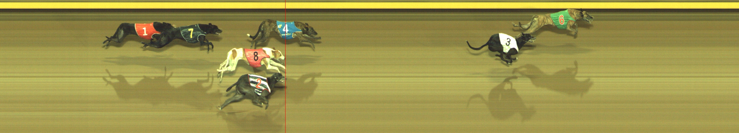 Photo finish for Geelong Race 8