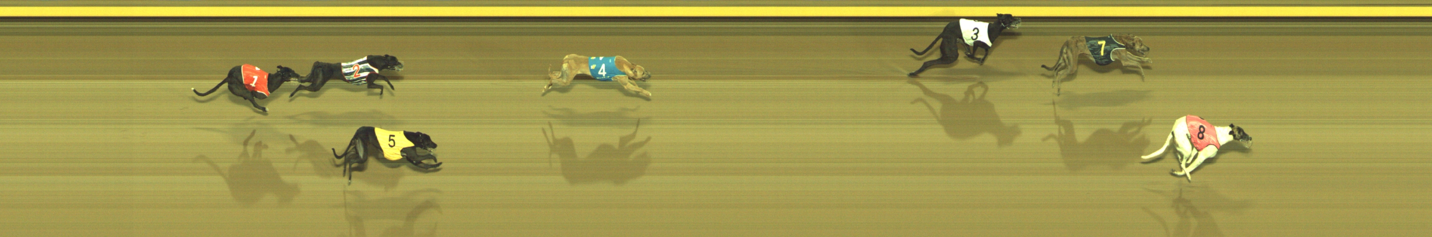 Photo finish for Geelong Race 9