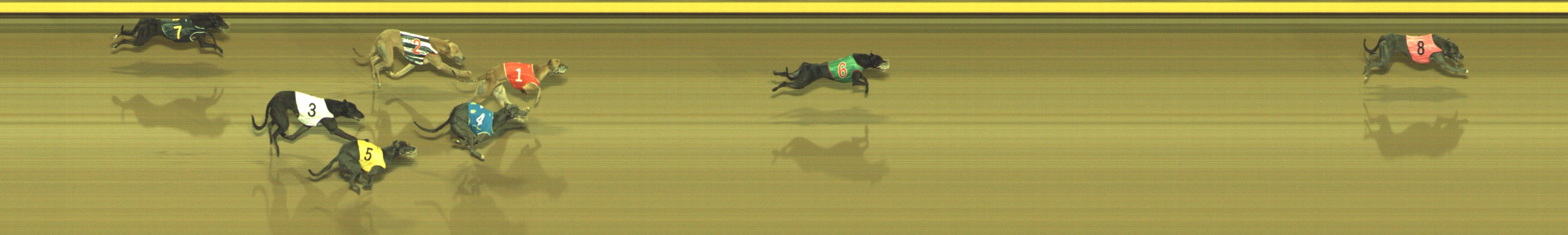 Photo finish for Geelong Race 10