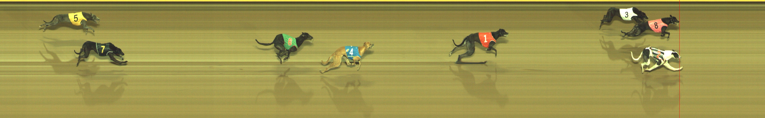 Photo finish for Geelong Race 11