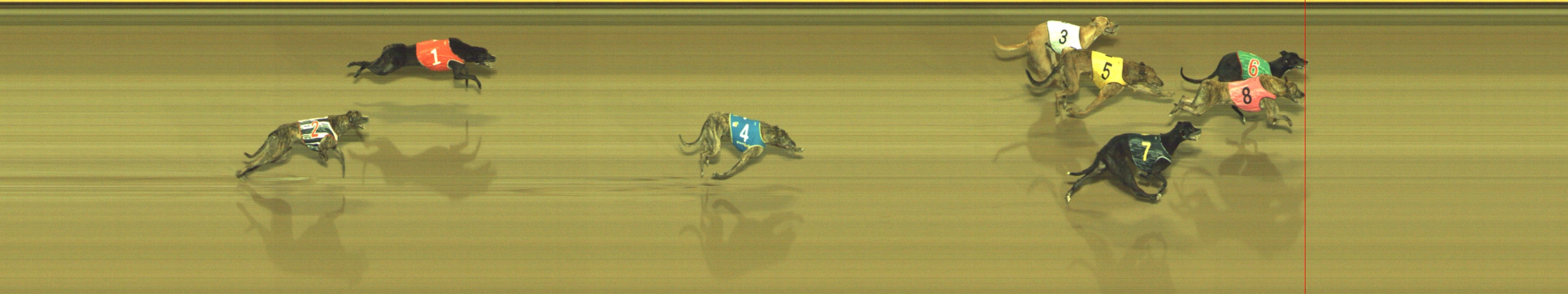 Photo finish for Geelong Race 12