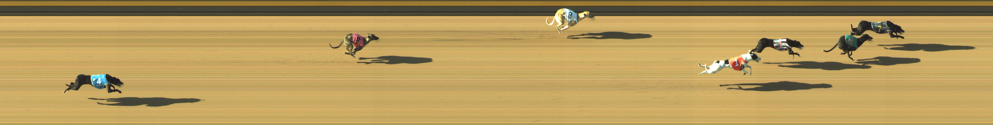 Race result finish photo