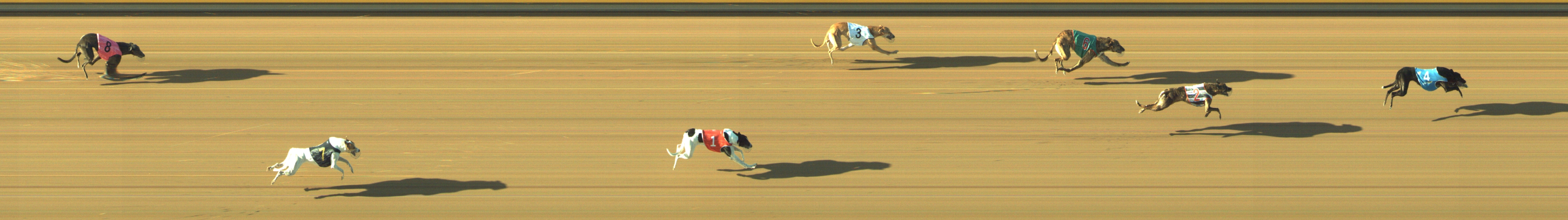 Race result finish photo