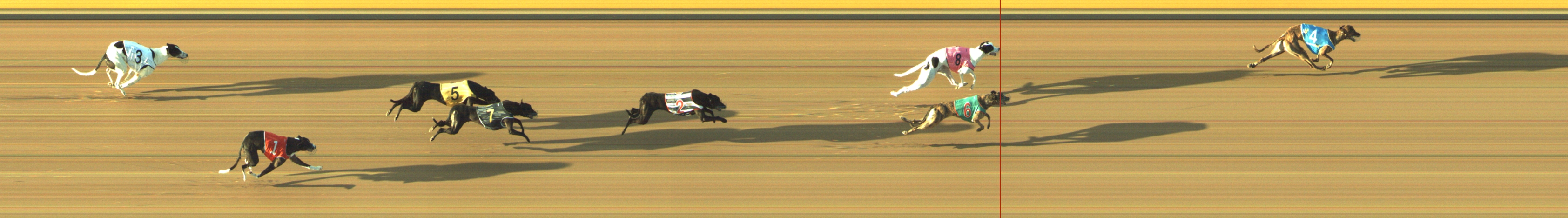 Race result finish photo