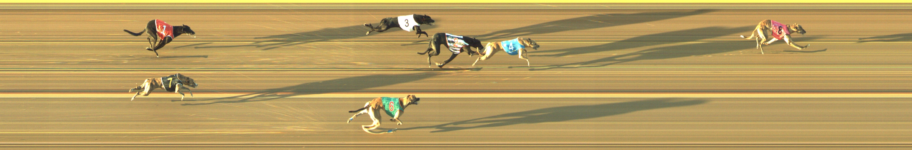 Race result finish photo