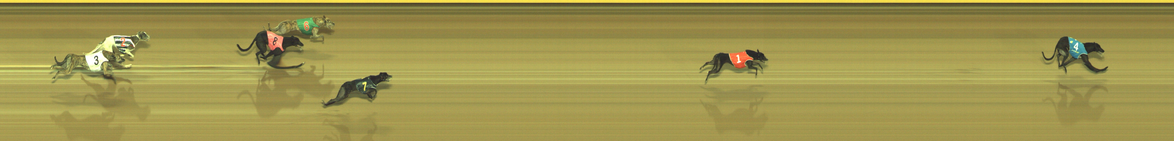 Race result finish photo