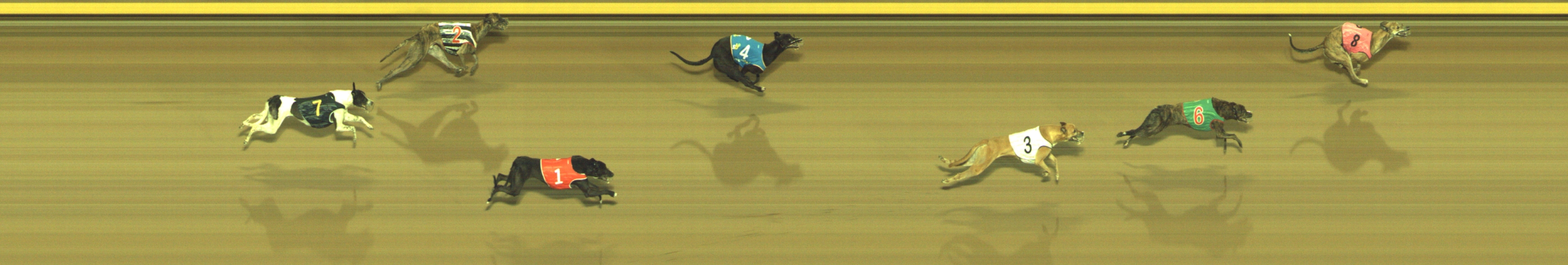 Race result finish photo