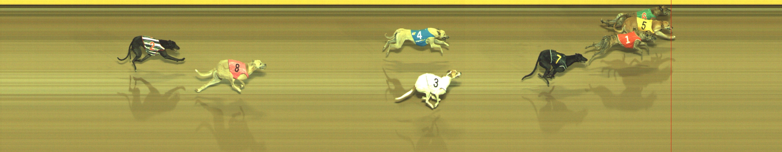 Race result finish photo