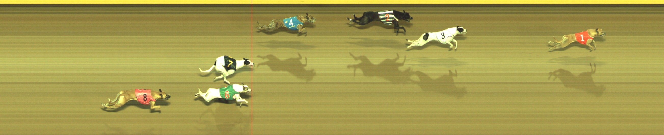 Race result finish photo