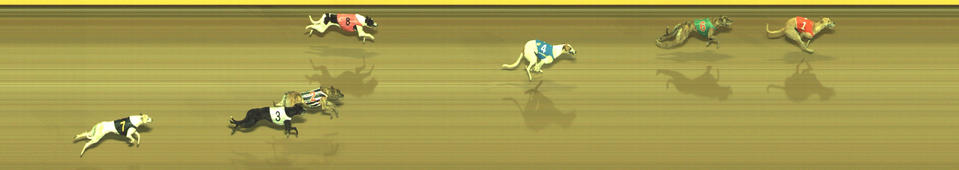 Race result finish photo