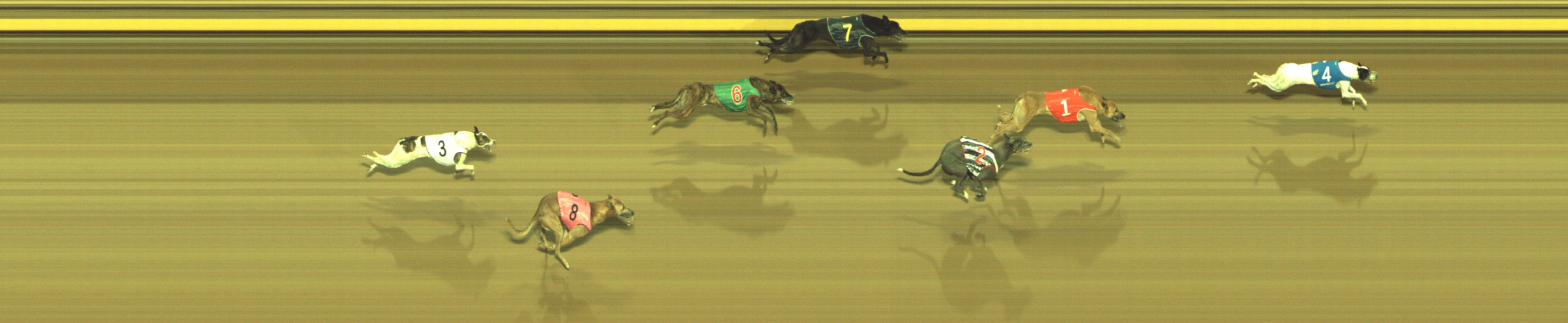 Race result finish photo