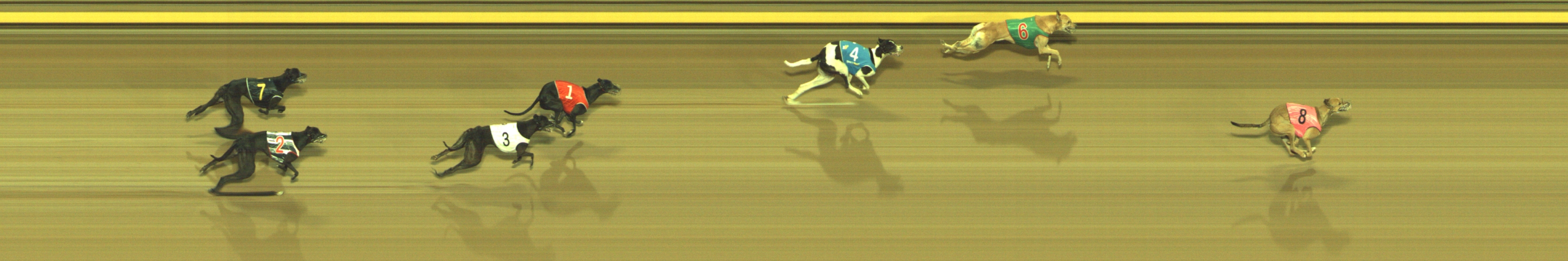 Race result finish photo