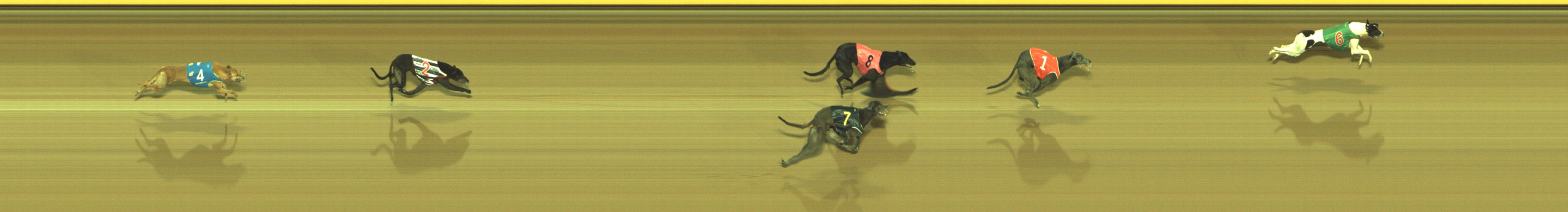 Race result finish photo