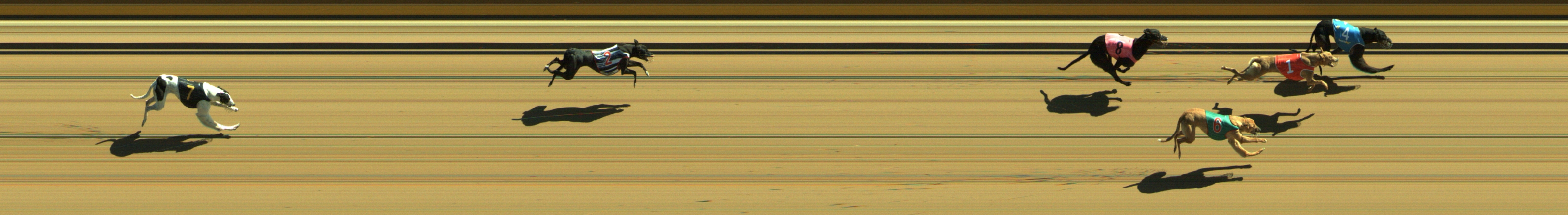 Race result finish photo