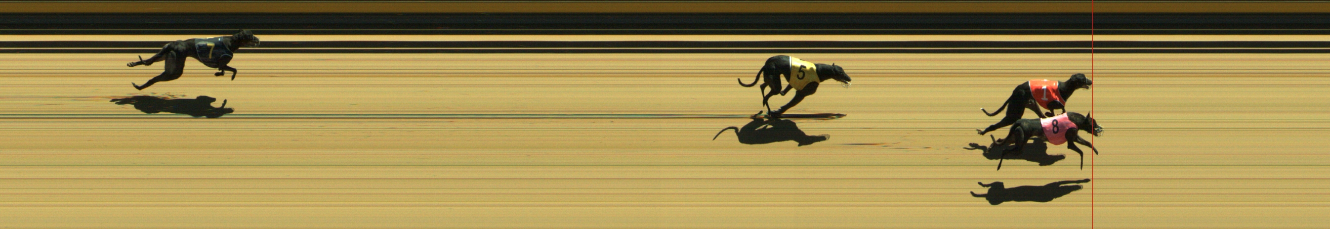 Photo finish for Geelong Race 4