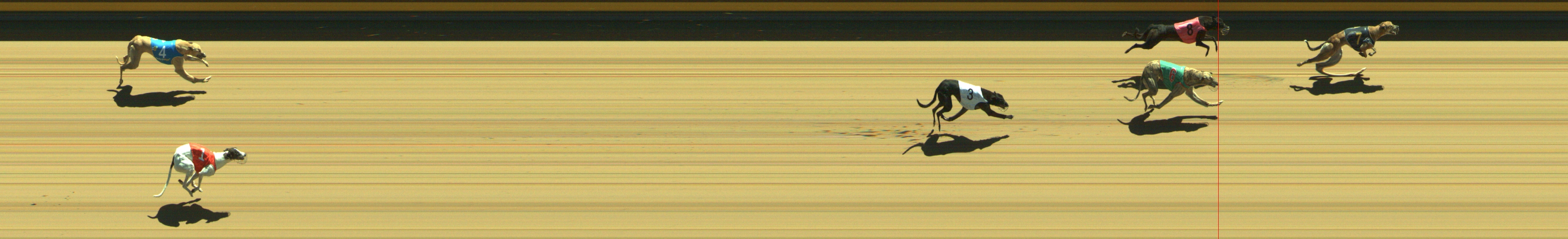 Photo finish for Geelong Race 6