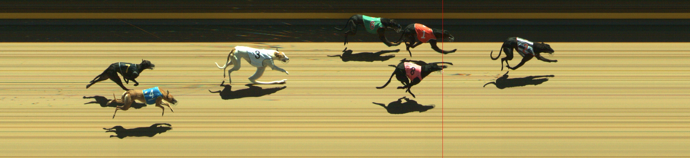 Photo finish for Geelong Race 7