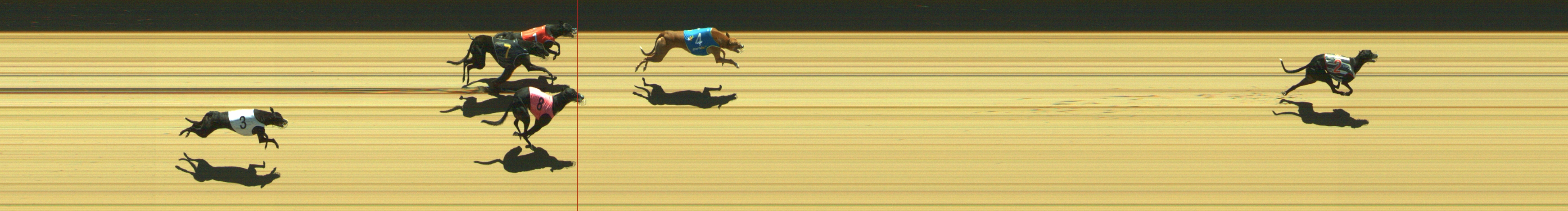 Photo finish for Geelong Race 8