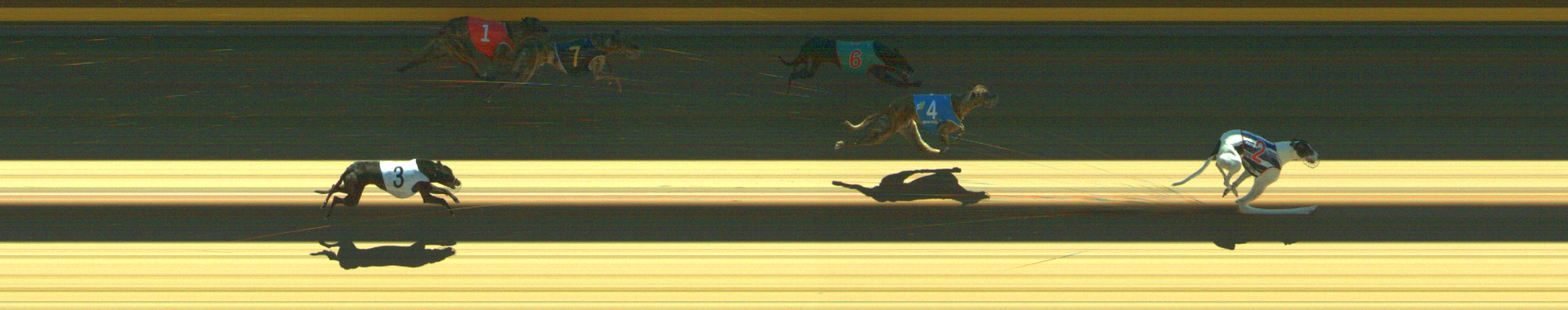 Photo finish for Geelong Race 9
