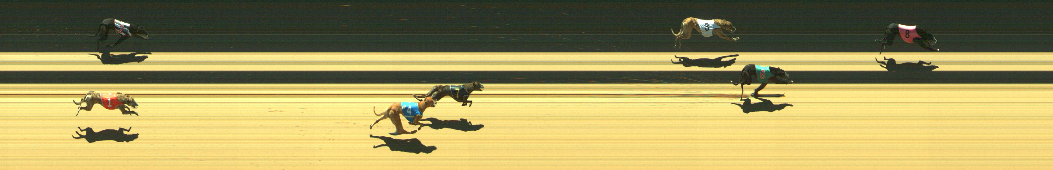 Photo finish for Geelong Race 10