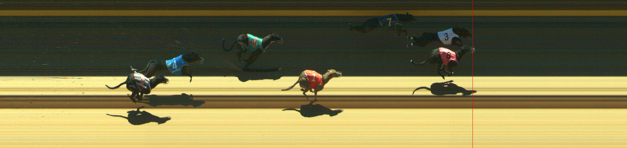 Photo finish for Geelong Race 11