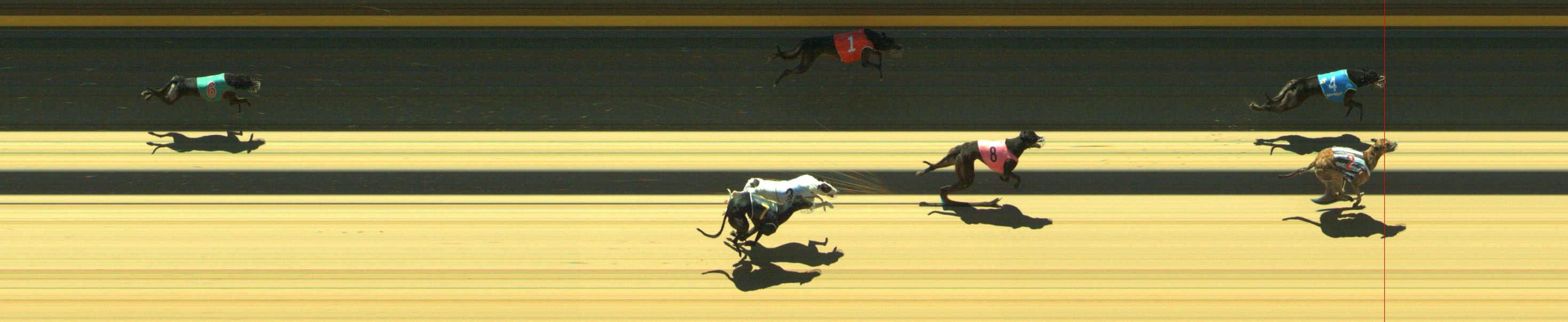 Photo finish for Geelong Race 12