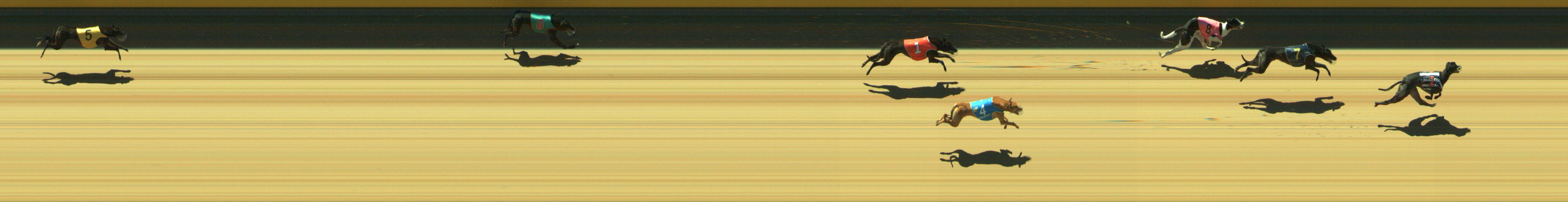 Photo finish for Geelong Race 13