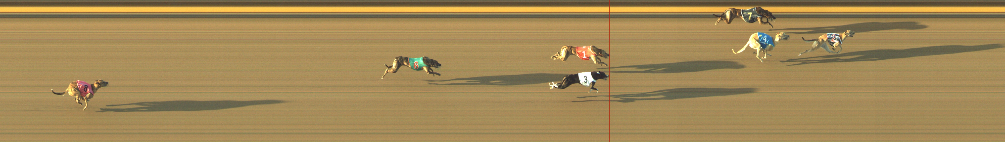 Race result finish photo