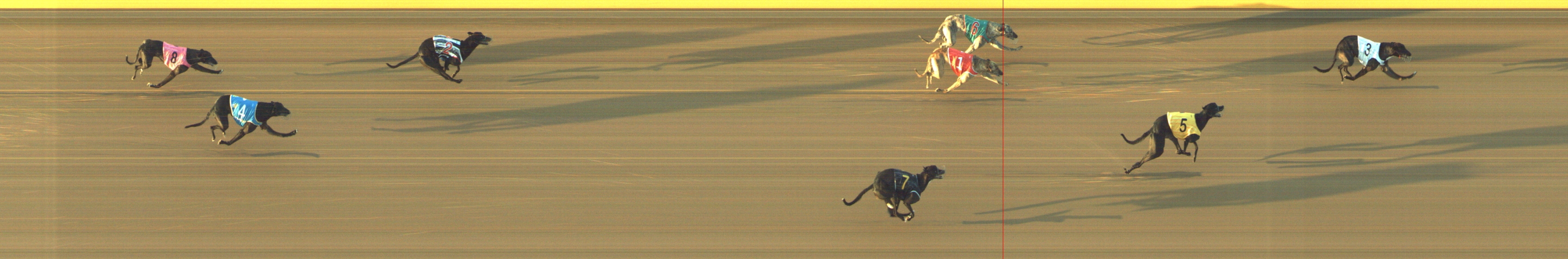 Photo finish for Geelong Race 2