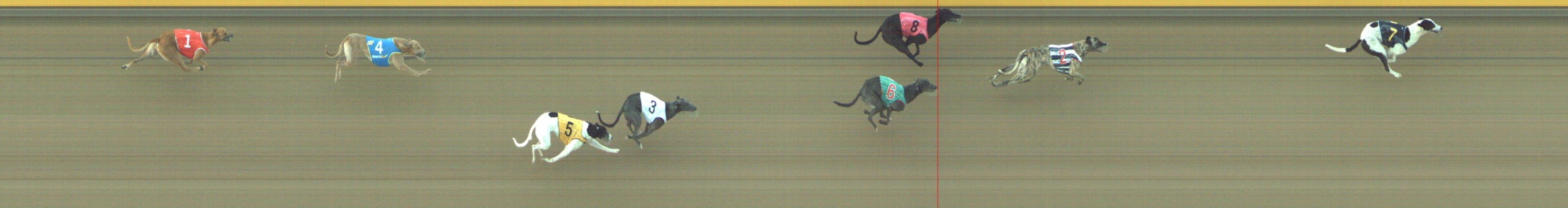 Photo finish for Geelong Race 3