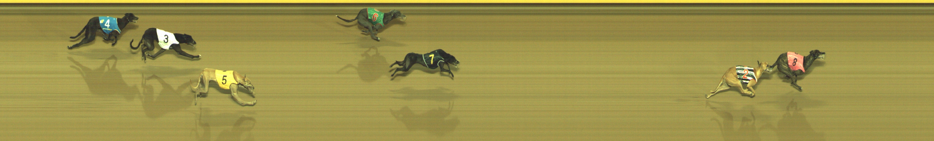 Photo finish for Geelong Race 4