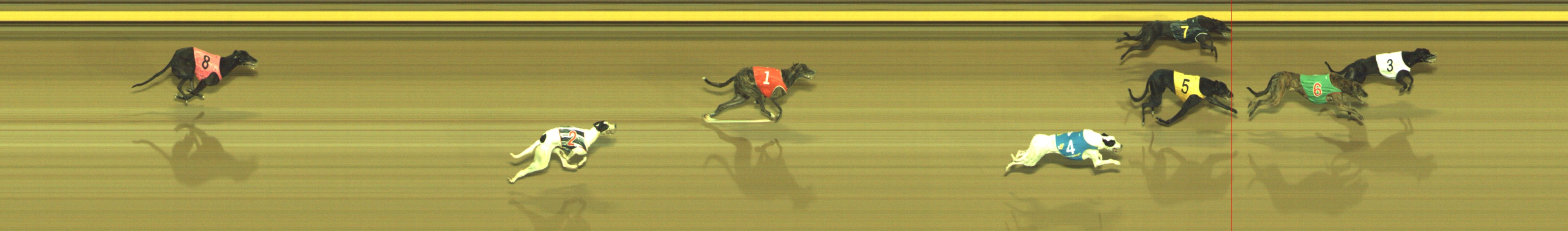 Photo finish for Geelong Race 5