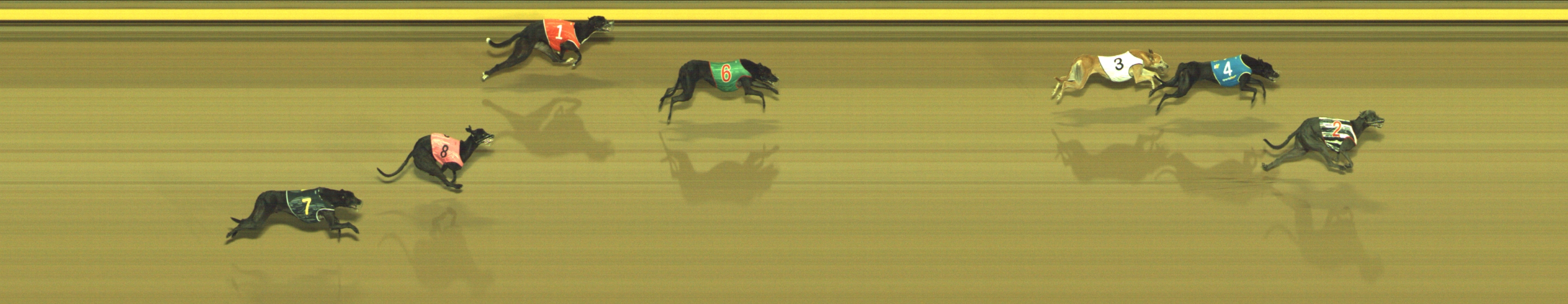 Photo finish for Geelong Race 6